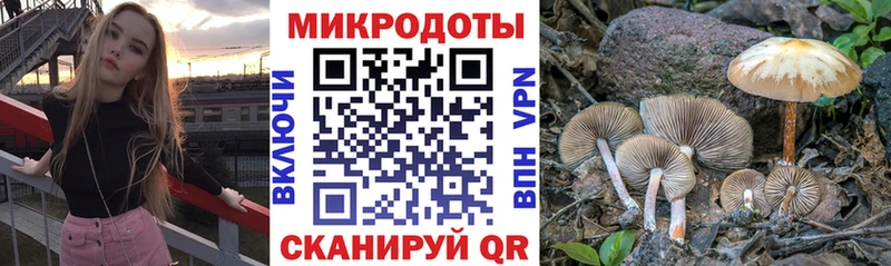 mega вход  Миньяр  Галлюциногенные грибы прущие грибы 